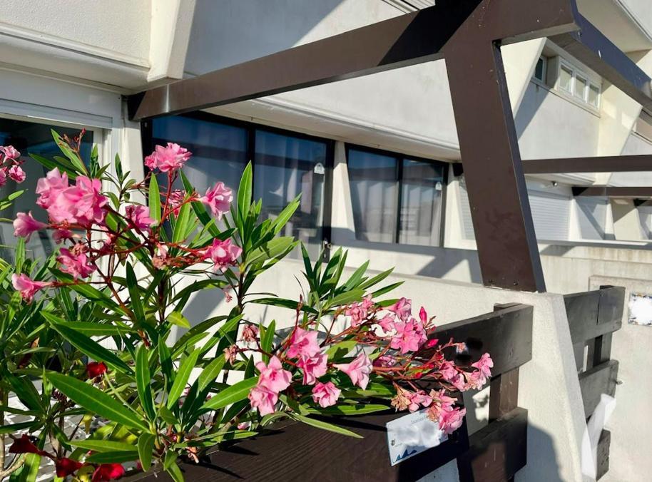 Cap D'agde Naturist Exclusive * Agde